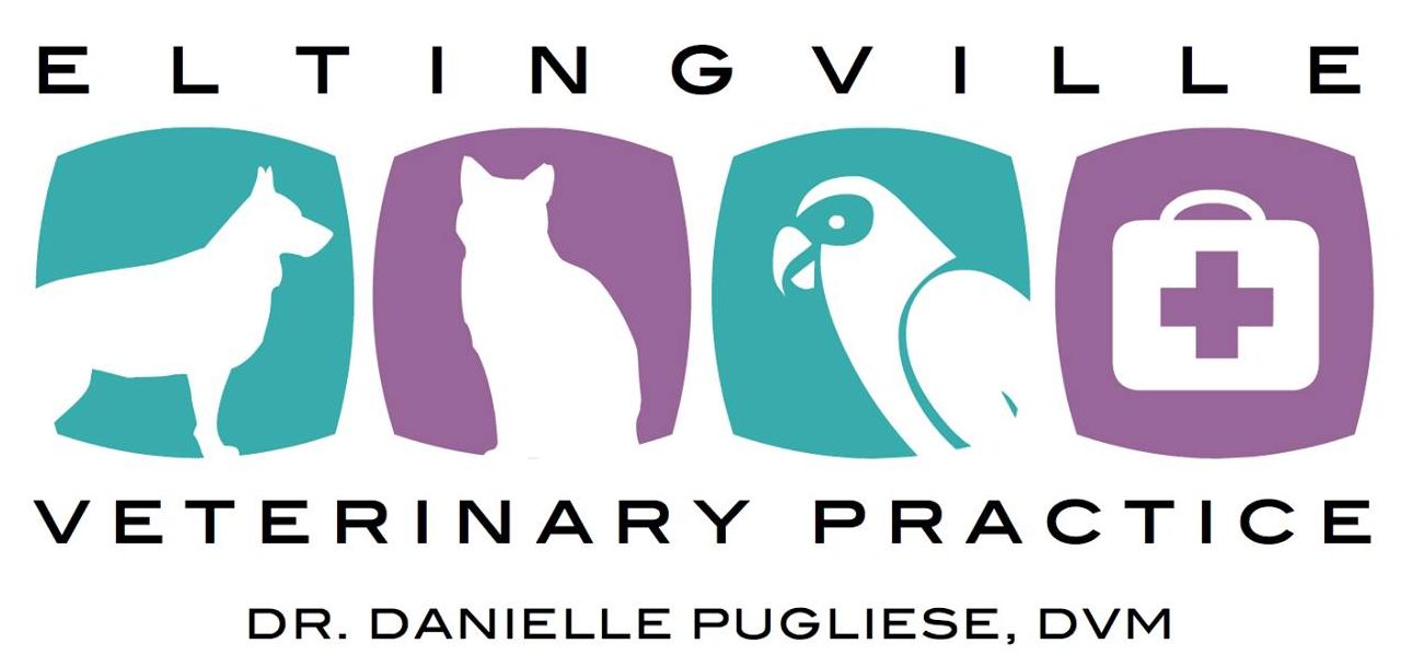 Eltingville Veterinary Practice